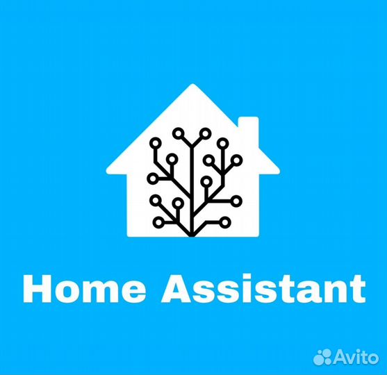 Home assistant сервер