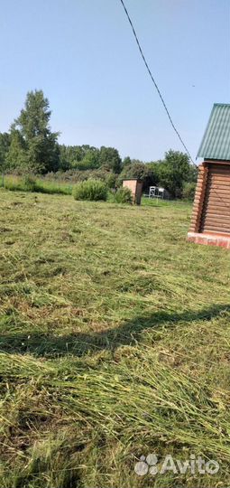 Покос травы бензиновым триммером