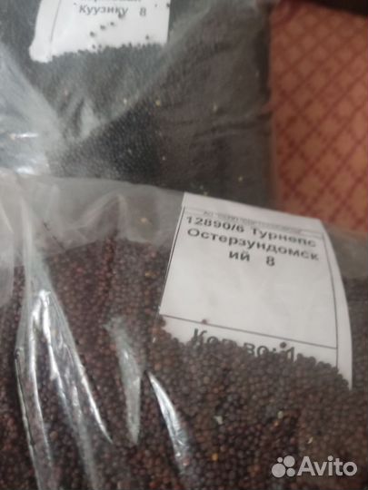 Семена свеклы и брюквы