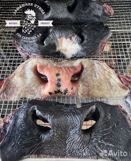 Лакомства для собак. натуральное