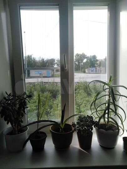 2-к. квартира, 38,5 м², 1/2 эт.