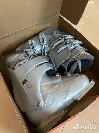 Горнолыжные ботинки