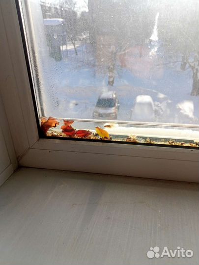 Замена разбитого стеклопакета