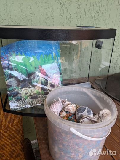 Аквариум