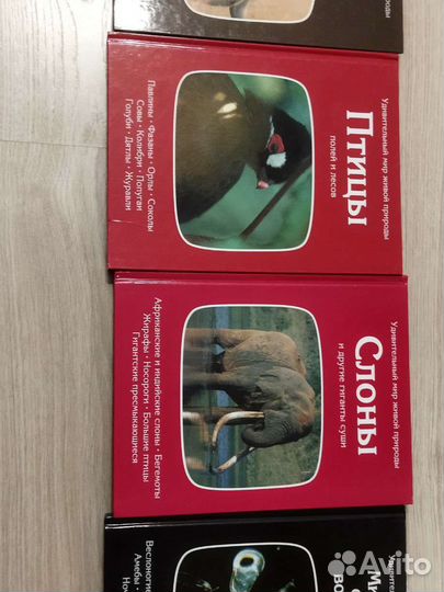 Удивительный мир живой природы