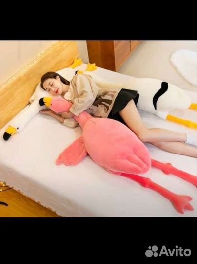 Фламинго обнимусь