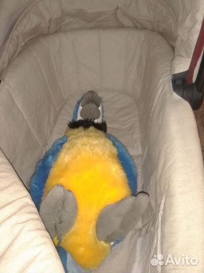 Люлька peg perego navеtta xl