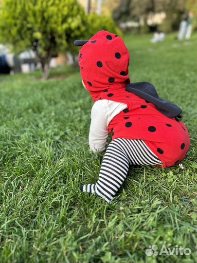 Костюм божьей коровки
