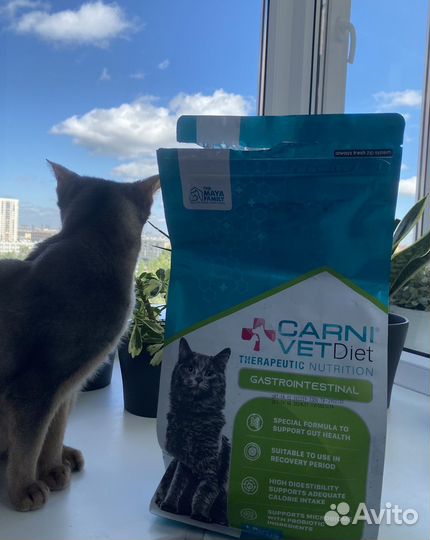 Сухой корм для кошек