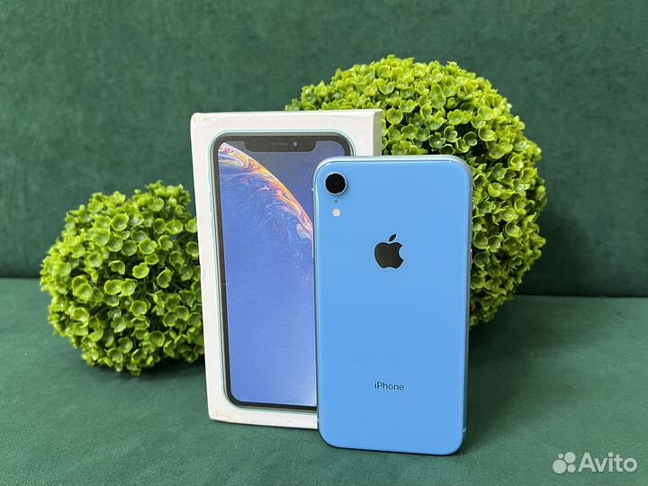 iPhone Xr, 128 ГБ