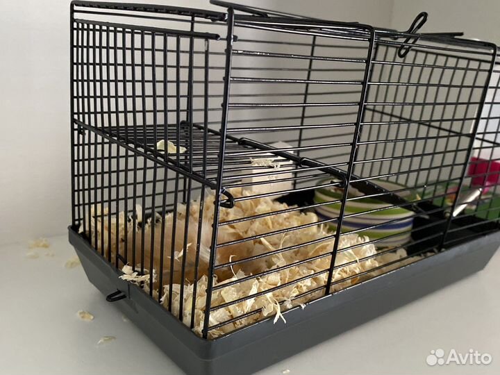 Клетка переноска для грызунов