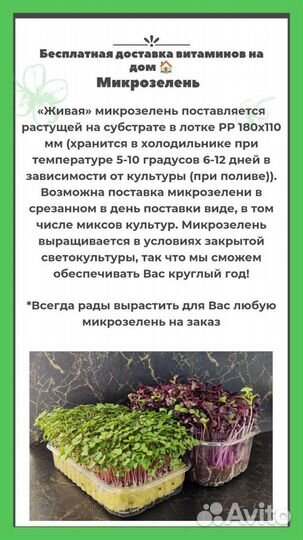 Микрозелень