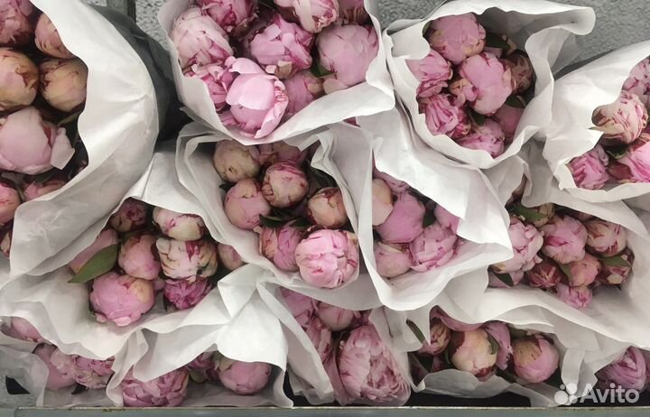 Букет цветов пионы