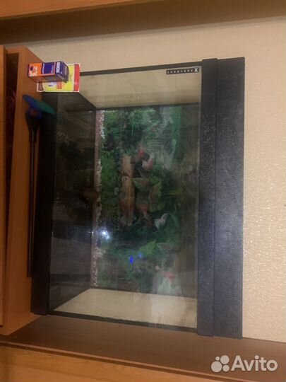 Аквариум на 100 литров