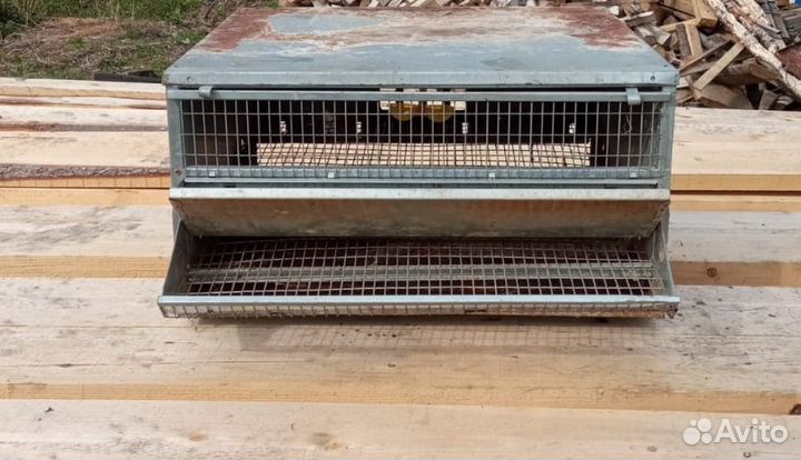 Клетка для перепелок бу