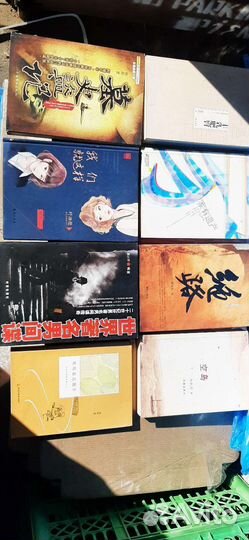 Китайская художественная литература