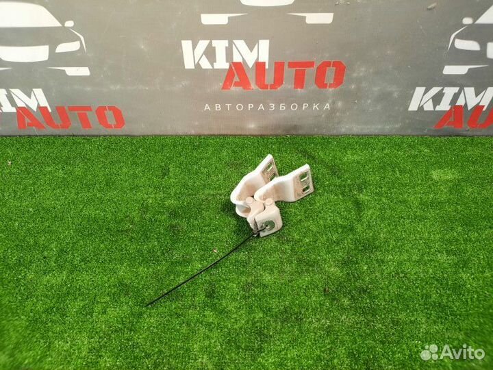 Петли крышки багажника Ford Focus 2 хэтчбек 1.6