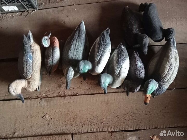 Утки чучела