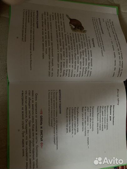 Азбука Жуковой. Первая после букваря