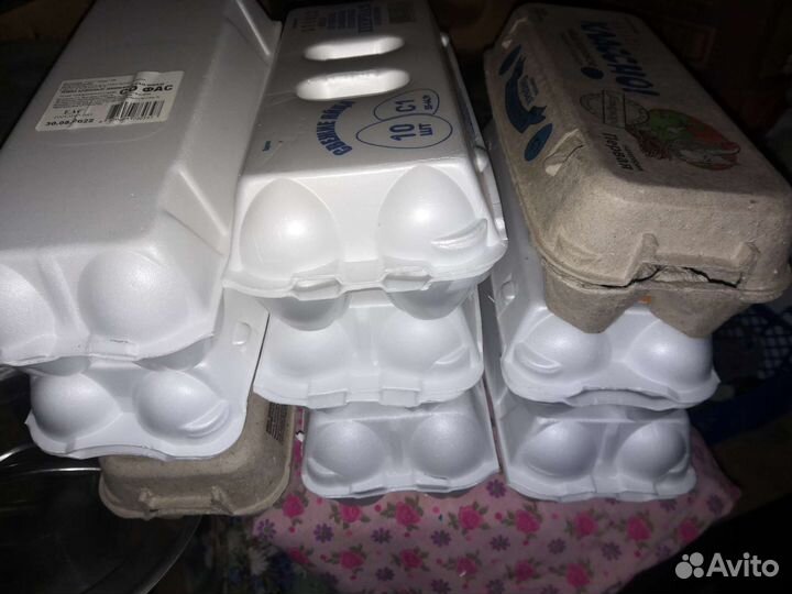 Лотки для яиц