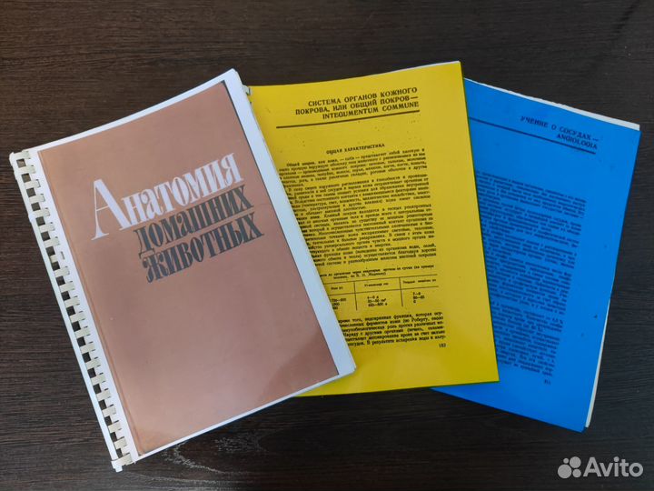 Учебник Анатомия домашних животных А.И. Акаевского