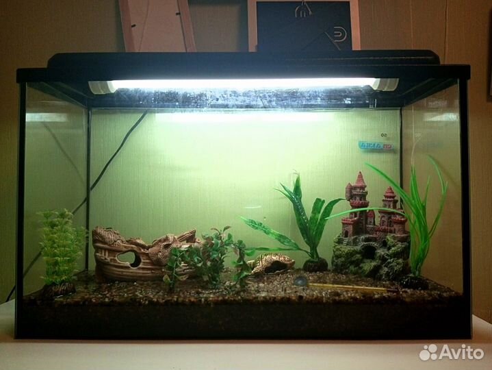 Отличный комплект для начинающего аквариумиста