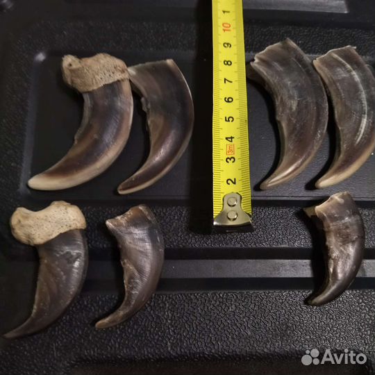 Сувениры из разных стран