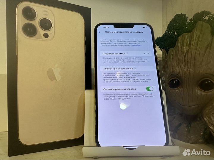 iPhone 13 Pro Max, 256 ГБ