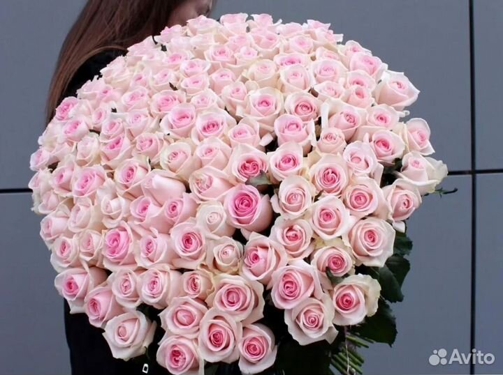 Букет из 81 розы