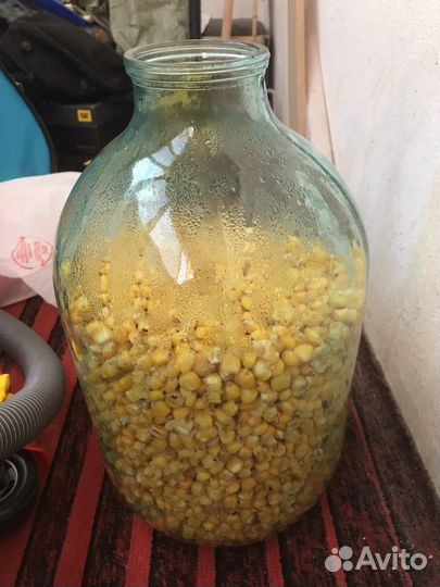 Пьяная кукуруза