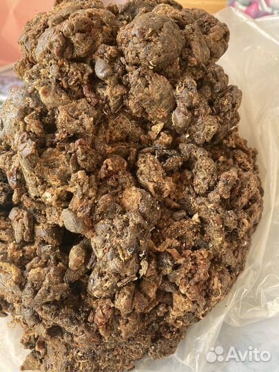 Прополис пчелиный