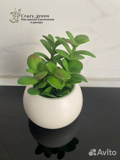 Кактусы и суккуленты искусственные