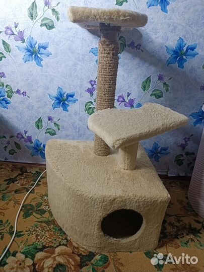 Когтеточка