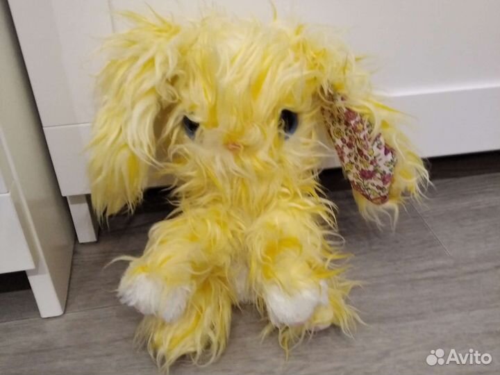 Пушистик потеряшка