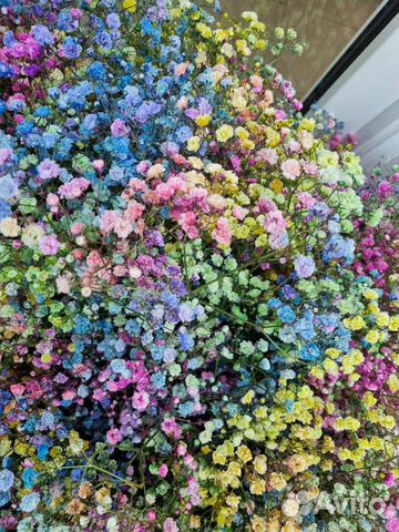 Букеты из гипсофилы на любой бюджет