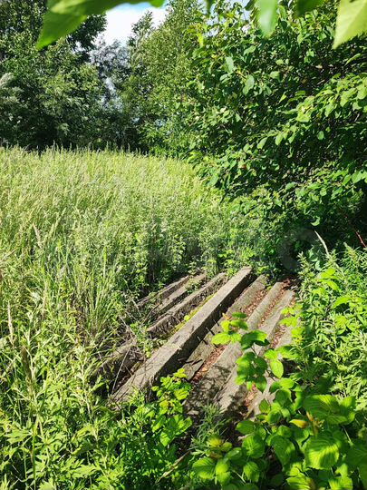 Участок 18,9 сот. (ИЖС)