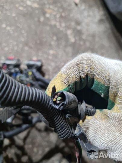 Проводка двс Ford Focus 2 2006