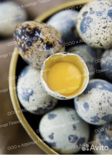 Яйца домашние с доставкой