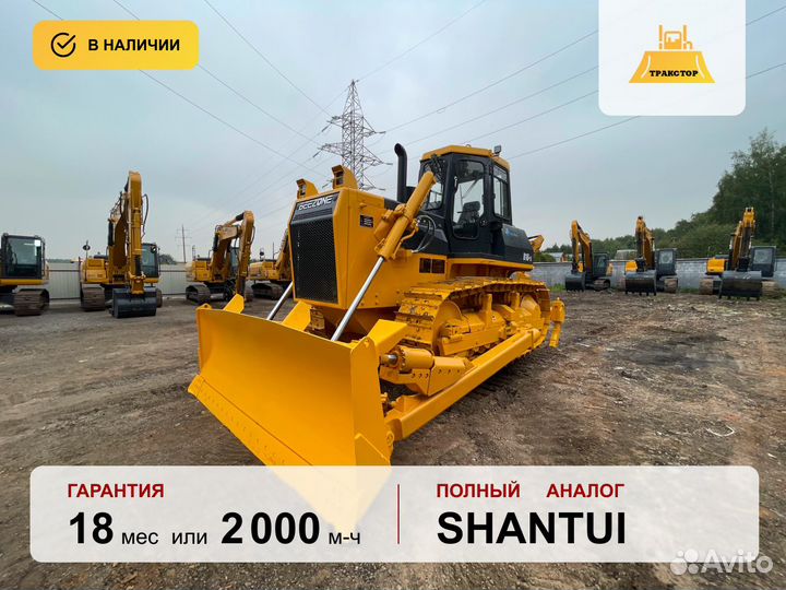 Beezone D16-5, 2024