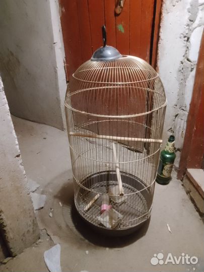 Большая клетка для птиц