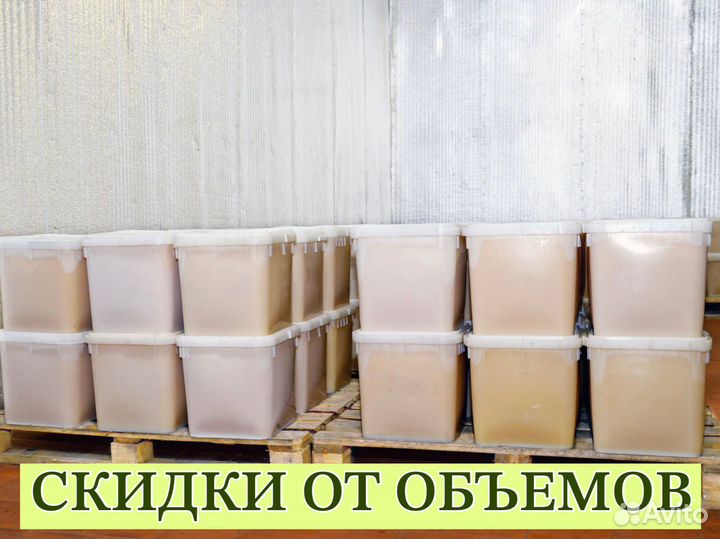 Мёд оптом с Алтая в Химках