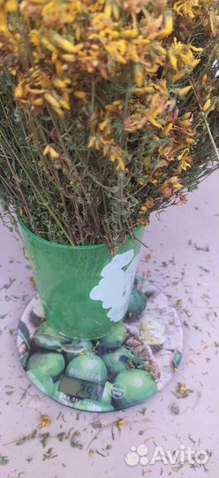 Зверобой сушеный