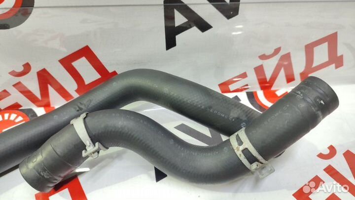 Патрубок радиатора Nissan Bluebird Sylphy QG10