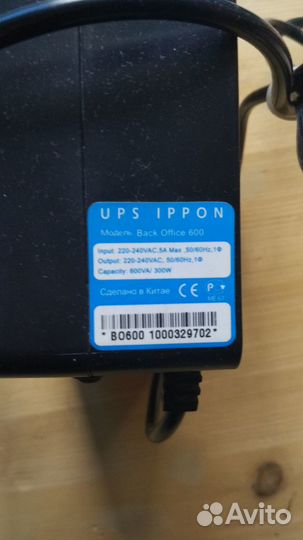 Ippon back office 600