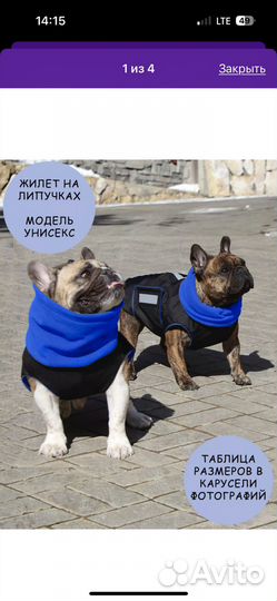 Жилет-попона для собак