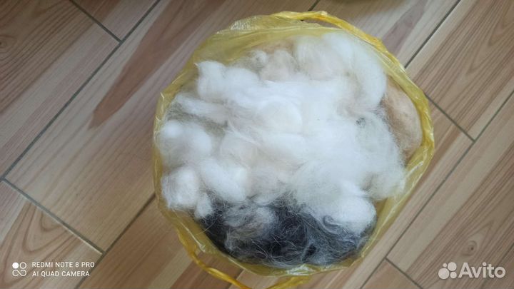 Вычесанный собачий пух, шерсть