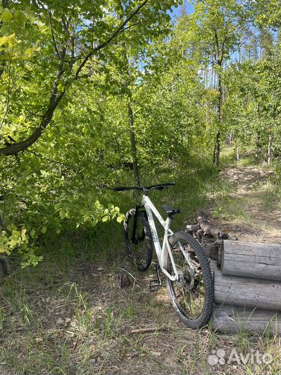 Haro double peak 29 comp