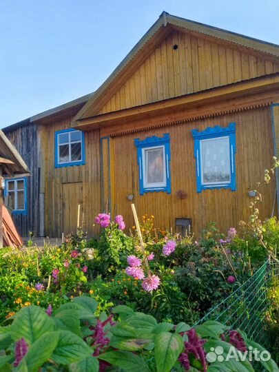 Продаю пасеку