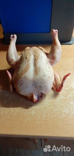 Куры бройлеры