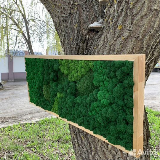 Панно из мха
